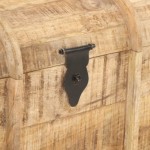 vidaXL Solid Mango Wood Storage Chests 2 Pieces Storaging Box Trunk Bedroom